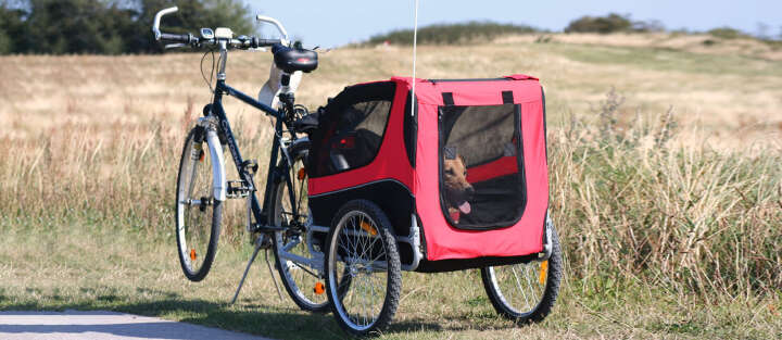 Banner Hund Anhaenger 1700x740